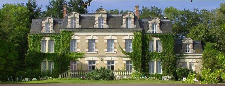 Chateau Des Tertres Onzain Eksteriør bilde